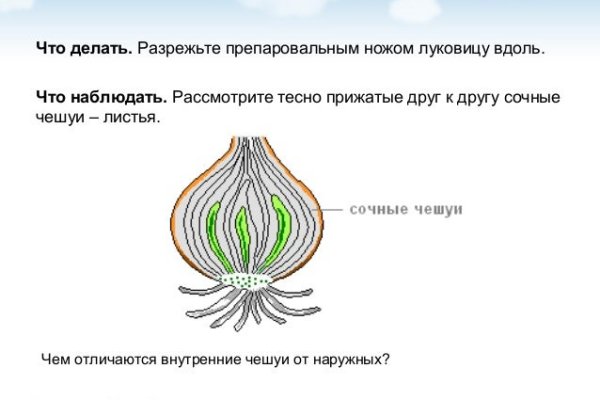 Рабочая ссылка на кракен