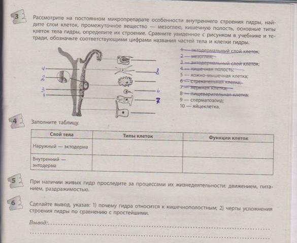 Кракен 15at